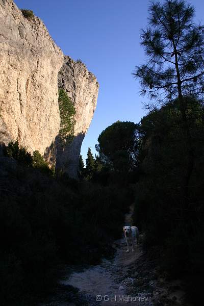 IMG_0438 copy